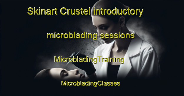 Skinart Crustel introductory microblading sessions | MicrobladingTraining | MicrobladingClasses | SkinartTraining-Mexico