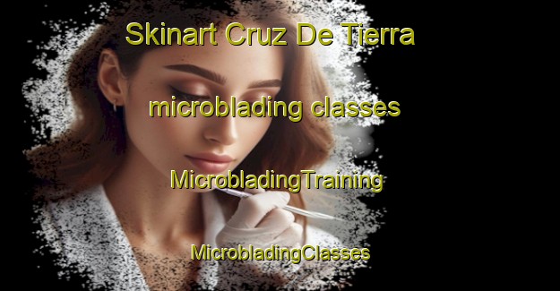 Skinart Cruz De Tierra microblading classes | #MicrobladingTraining #MicrobladingClasses #SkinartTraining-Mexico