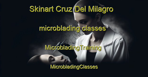 Skinart Cruz Del Milagro microblading classes | #MicrobladingTraining #MicrobladingClasses #SkinartTraining-Mexico