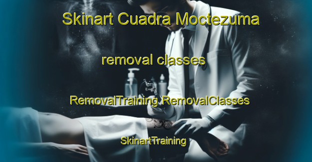 Skinart Cuadra Moctezuma removal classes | #RemovalTraining #RemovalClasses #SkinartTraining-Mexico