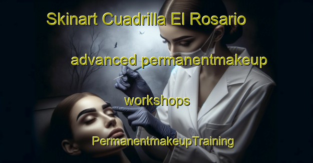 Skinart Cuadrilla El Rosario advanced permanentmakeup workshops | #PermanentmakeupTraining #PermanentmakeupClasses #SkinartTraining-Mexico