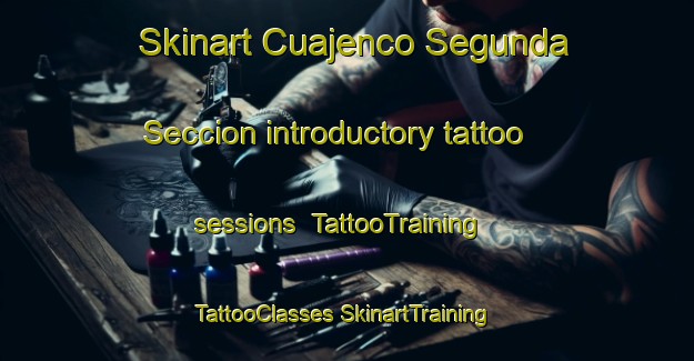 Skinart Cuajenco Segunda Seccion introductory tattoo sessions | #TattooTraining #TattooClasses #SkinartTraining-Mexico