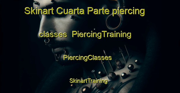 Skinart Cuarta Parte piercing classes | PiercingTraining | PiercingClasses | SkinartTraining-Mexico