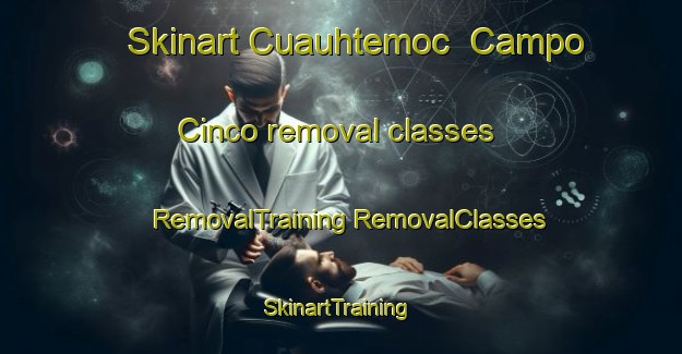 Skinart Cuauhtemoc  Campo Cinco removal classes | #RemovalTraining #RemovalClasses #SkinartTraining-Mexico