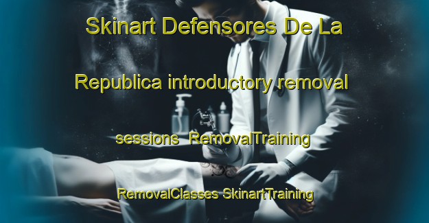 Skinart Defensores De La Republica introductory removal sessions | #RemovalTraining #RemovalClasses #SkinartTraining-Mexico