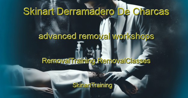 Skinart Derramadero De Charcas advanced removal workshops | #RemovalTraining #RemovalClasses #SkinartTraining-Mexico