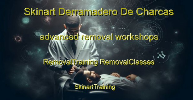 Skinart Derramadero De Charcas advanced removal workshops | #RemovalTraining #RemovalClasses #SkinartTraining-Mexico