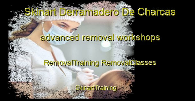 Skinart Derramadero De Charcas advanced removal workshops | #RemovalTraining #RemovalClasses #SkinartTraining-Mexico