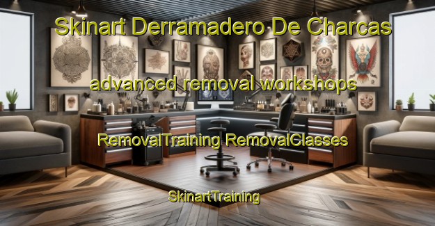 Skinart Derramadero De Charcas advanced removal workshops | #RemovalTraining #RemovalClasses #SkinartTraining-Mexico