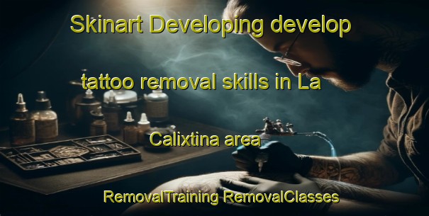 Skinart Developing develop tattoo removal skills in La Calixtina area | #RemovalTraining #RemovalClasses #SkinartTraining-Mexico