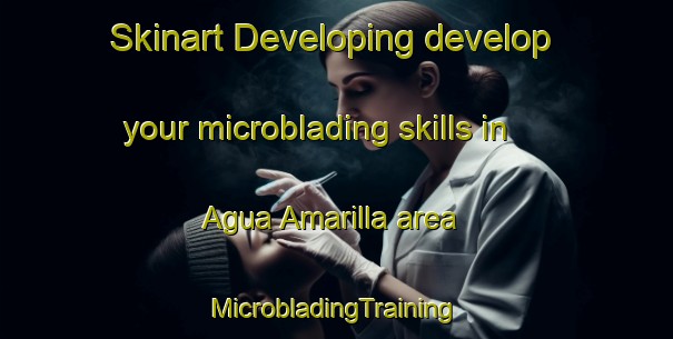 Skinart Developing develop your microblading skills in Agua Amarilla area | #MicrobladingTraining #MicrobladingClasses #SkinartTraining-Mexico