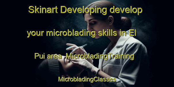 Skinart Developing develop your microblading skills in El Pui area | #MicrobladingTraining #MicrobladingClasses #SkinartTraining-Mexico