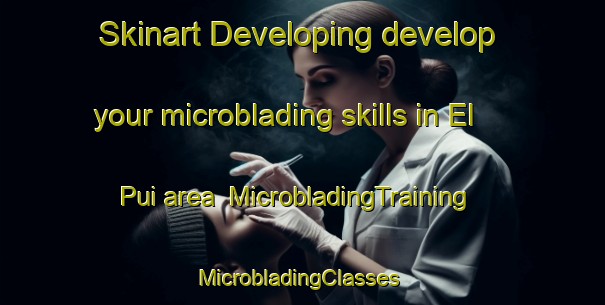 Skinart Developing develop your microblading skills in El Pui area | MicrobladingTraining | MicrobladingClasses | SkinartTraining-Mexico