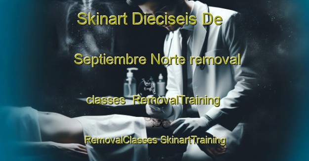 Skinart Dieciseis De Septiembre Norte removal classes | #RemovalTraining #RemovalClasses #SkinartTraining-Mexico