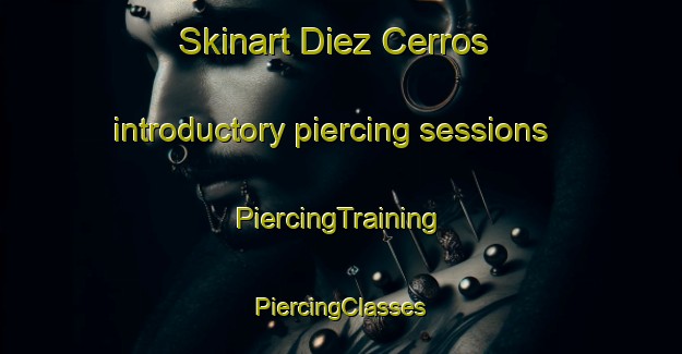 Skinart Diez Cerros introductory piercing sessions | #PiercingTraining #PiercingClasses #SkinartTraining-Mexico