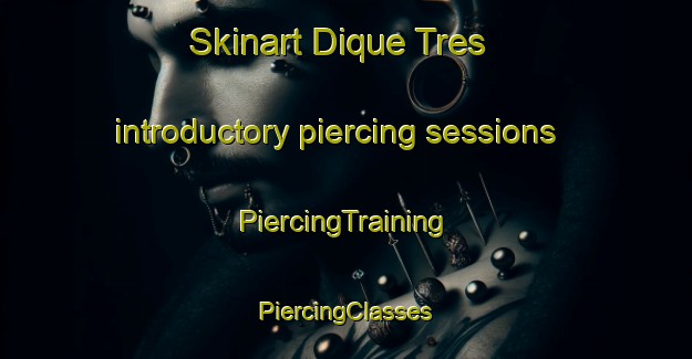 Skinart Dique Tres introductory piercing sessions | #PiercingTraining #PiercingClasses #SkinartTraining-Mexico