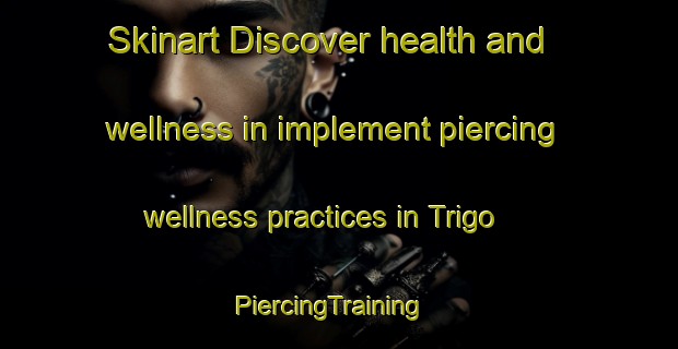 Skinart Discover health and wellness in implement piercing wellness practices in Trigo | PiercingTraining | PiercingClasses | SkinartTraining-Mexico