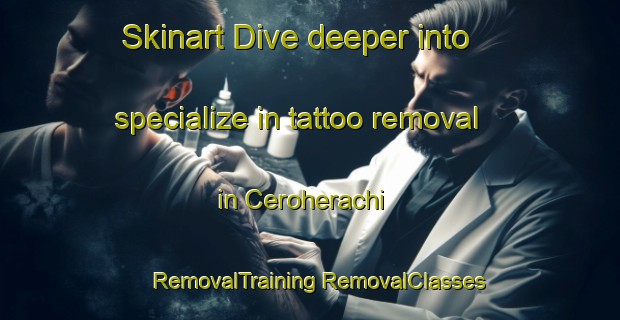 Skinart Dive deeper into specialize in tattoo removal in Ceroherachi | #RemovalTraining #RemovalClasses #SkinartTraining-Mexico