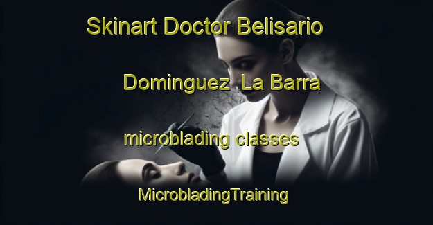 Skinart Doctor Belisario Dominguez  La Barra microblading classes | #MicrobladingTraining #MicrobladingClasses #SkinartTraining-Mexico