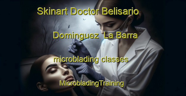 Skinart Doctor Belisario Dominguez  La Barra microblading classes | #MicrobladingTraining #MicrobladingClasses #SkinartTraining-Mexico