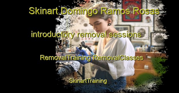 Skinart Domingo Ramos Rosas introductory removal sessions | #RemovalTraining #RemovalClasses #SkinartTraining-Mexico