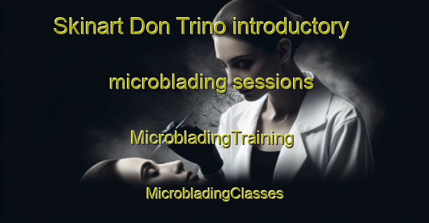 Skinart Don Trino introductory microblading sessions | #MicrobladingTraining #MicrobladingClasses #SkinartTraining-Mexico