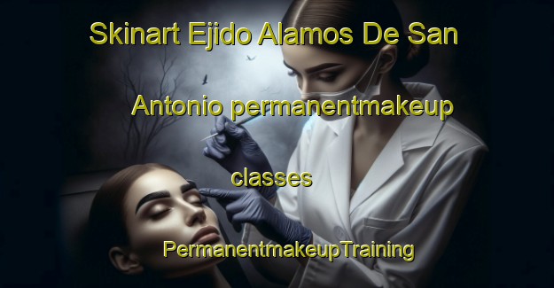 Skinart Ejido Alamos De San Antonio permanentmakeup classes | #PermanentmakeupTraining #PermanentmakeupClasses #SkinartTraining-Mexico