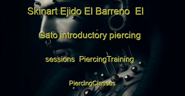 Skinart Ejido El Barreno  El Gato introductory piercing sessions | #PiercingTraining #PiercingClasses #SkinartTraining-Mexico