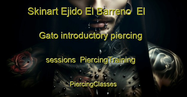 Skinart Ejido El Barreno  El Gato introductory piercing sessions | #PiercingTraining #PiercingClasses #SkinartTraining-Mexico