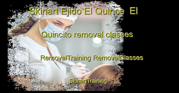 Skinart Ejido El Quince  El Quincito removal classes | #RemovalTraining #RemovalClasses #SkinartTraining-Mexico