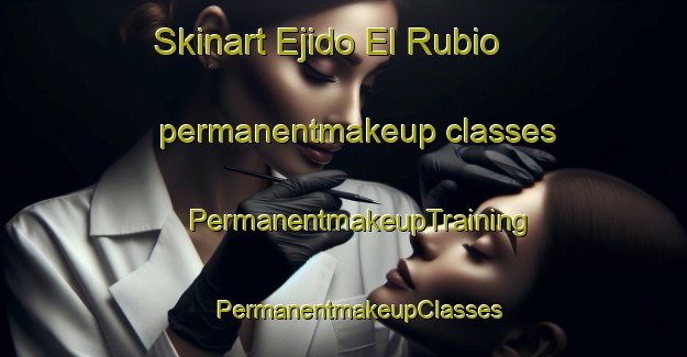 Skinart Ejido El Rubio permanentmakeup classes | #PermanentmakeupTraining #PermanentmakeupClasses #SkinartTraining-Mexico