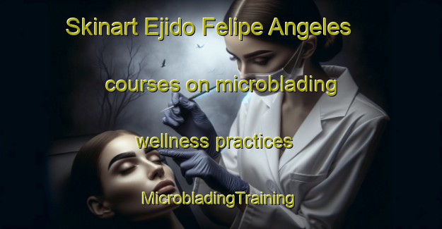 Skinart Ejido Felipe Angeles courses on microblading wellness practices | #MicrobladingTraining #MicrobladingClasses #SkinartTraining-Mexico