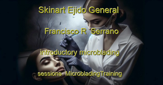 Skinart Ejido General Francisco R  Serrano introductory microblading sessions | #MicrobladingTraining #MicrobladingClasses #SkinartTraining-Mexico