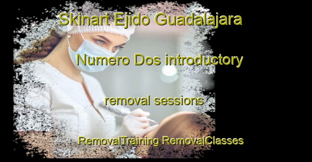 Skinart Ejido Guadalajara Numero Dos introductory removal sessions | #RemovalTraining #RemovalClasses #SkinartTraining-Mexico