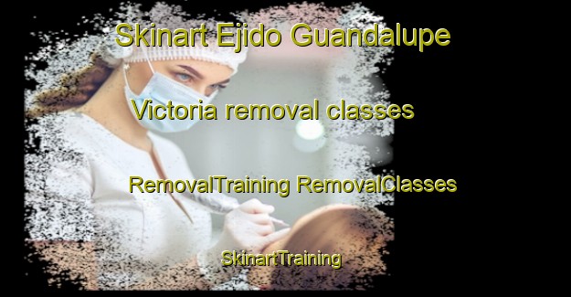 Skinart Ejido Guandalupe Victoria removal classes | #RemovalTraining #RemovalClasses #SkinartTraining-Mexico