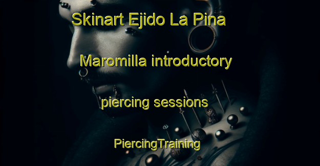 Skinart Ejido La Pina  Maromilla introductory piercing sessions | #PiercingTraining #PiercingClasses #SkinartTraining-Mexico