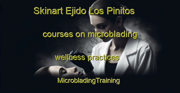 Skinart Ejido Los Pinitos courses on microblading wellness practices | #MicrobladingTraining #MicrobladingClasses #SkinartTraining-Mexico