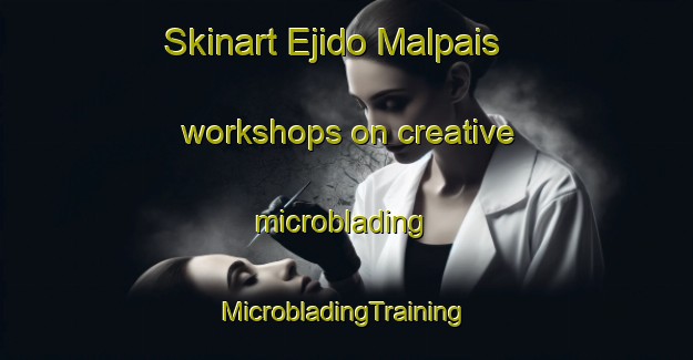 Skinart Ejido Malpais workshops on creative microblading | #MicrobladingTraining #MicrobladingClasses #SkinartTraining-Mexico