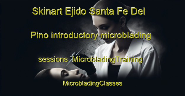 Skinart Ejido Santa Fe Del Pino introductory microblading sessions | #MicrobladingTraining #MicrobladingClasses #SkinartTraining-Mexico