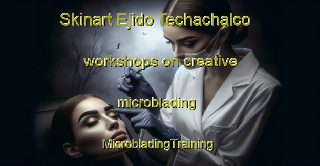 Skinart Ejido Techachalco workshops on creative microblading | #MicrobladingTraining #MicrobladingClasses #SkinartTraining-Mexico