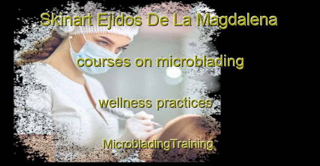 Skinart Ejidos De La Magdalena courses on microblading wellness practices | #MicrobladingTraining #MicrobladingClasses #SkinartTraining-Mexico