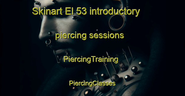 Skinart El 53 introductory piercing sessions | #PiercingTraining #PiercingClasses #SkinartTraining-Mexico