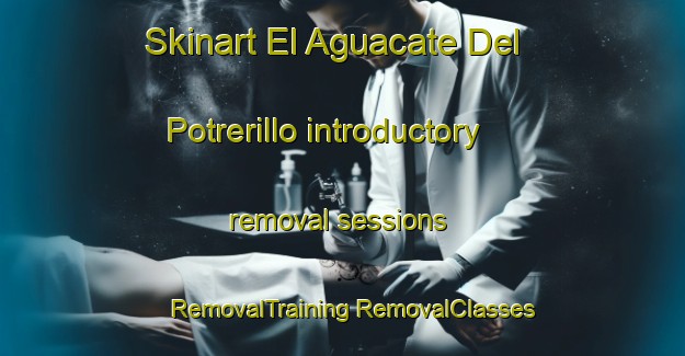 Skinart El Aguacate Del Potrerillo introductory removal sessions | #RemovalTraining #RemovalClasses #SkinartTraining-Mexico