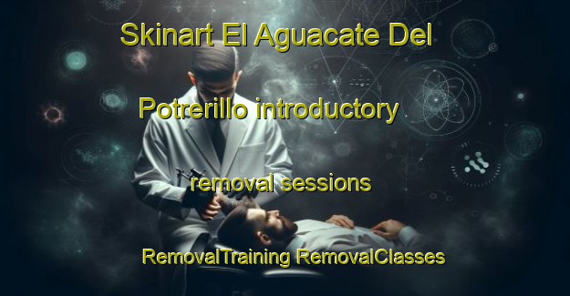 Skinart El Aguacate Del Potrerillo introductory removal sessions | #RemovalTraining #RemovalClasses #SkinartTraining-Mexico