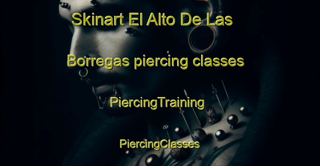 Skinart El Alto De Las Borregas piercing classes | #PiercingTraining #PiercingClasses #SkinartTraining-Mexico