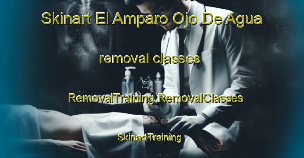 Skinart El Amparo Ojo De Agua removal classes | #RemovalTraining #RemovalClasses #SkinartTraining-Mexico