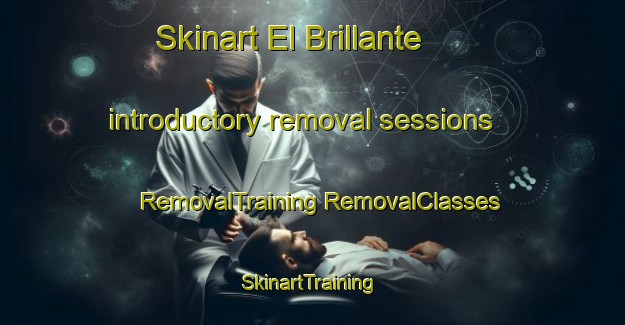 Skinart El Brillante introductory removal sessions | #RemovalTraining #RemovalClasses #SkinartTraining-Mexico