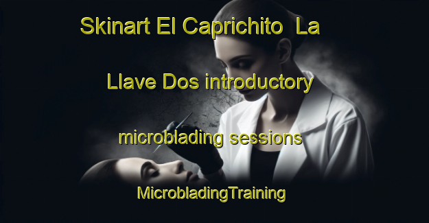 Skinart El Caprichito  La Llave Dos introductory microblading sessions | #MicrobladingTraining #MicrobladingClasses #SkinartTraining-Mexico