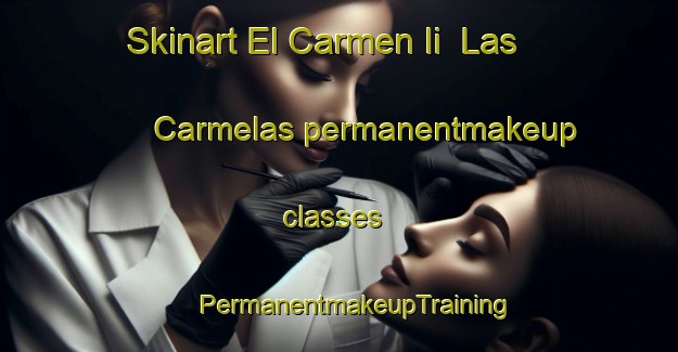 Skinart El Carmen Ii  Las Carmelas permanentmakeup classes | #PermanentmakeupTraining #PermanentmakeupClasses #SkinartTraining-Mexico