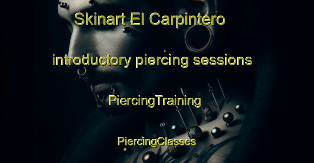 Skinart El Carpintero introductory piercing sessions | #PiercingTraining #PiercingClasses #SkinartTraining-Mexico